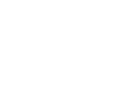 Icon: application